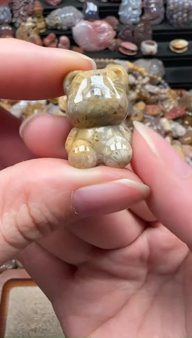 颈饰未镶嵌硅化珊瑚（珊瑚玉）485