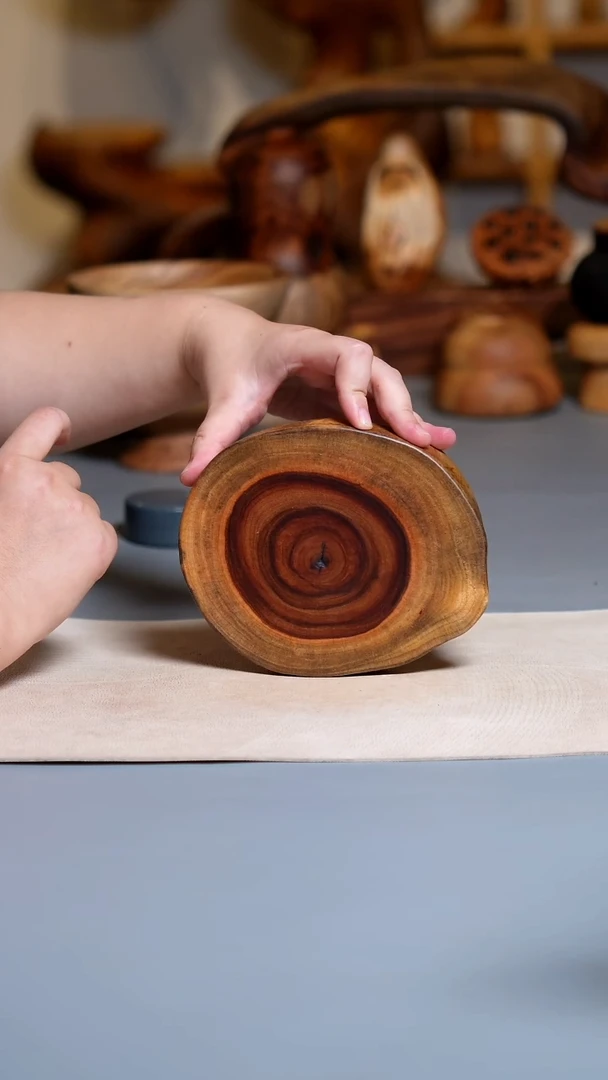 香樟木木切片209