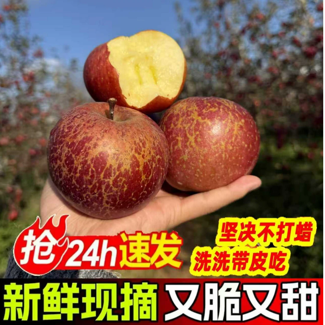 【果伦专属】正宗云南昭通应季红苹果昭通冰糖心丑苹果新鲜脆甜