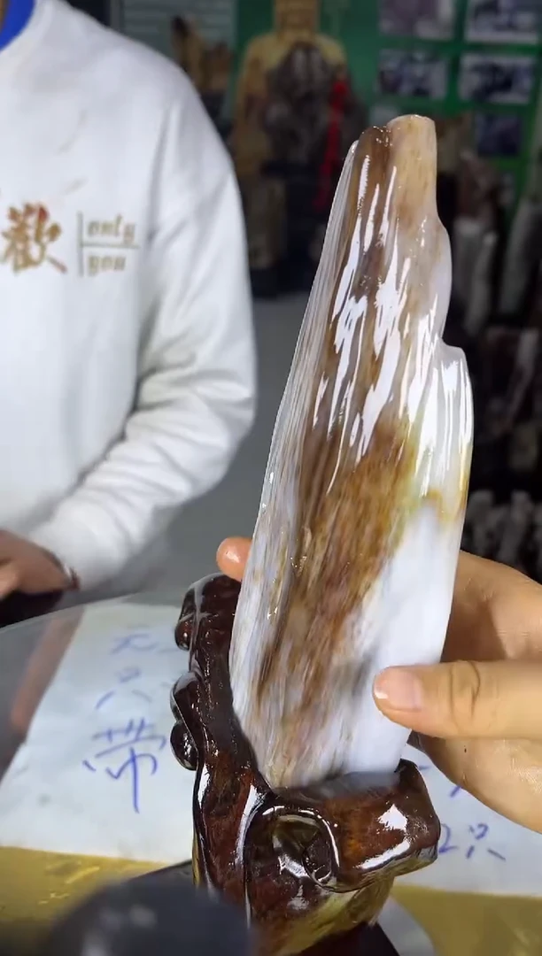 未镶嵌珠宝奇石硅化玉缅甸天然树化玉精品居家摆件