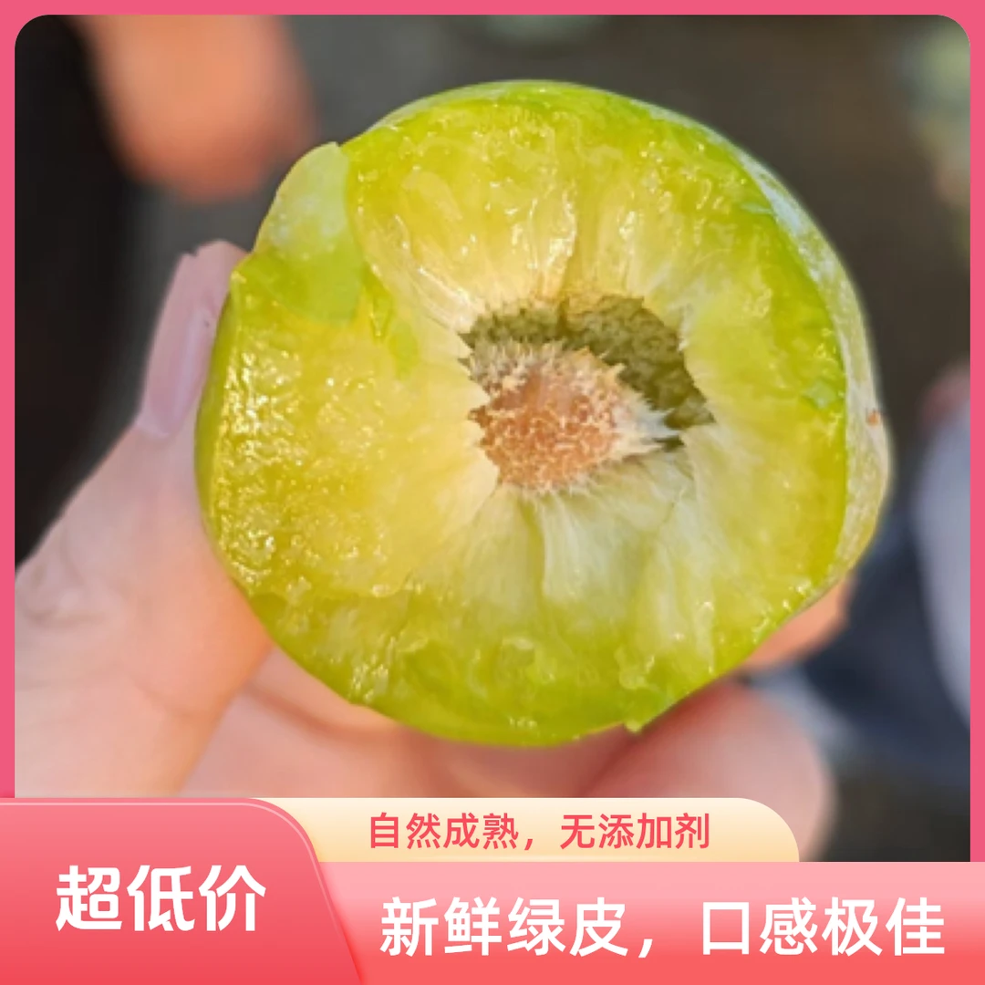 正宗巫山青脆李当季新鲜现摘水果脆甜多汁