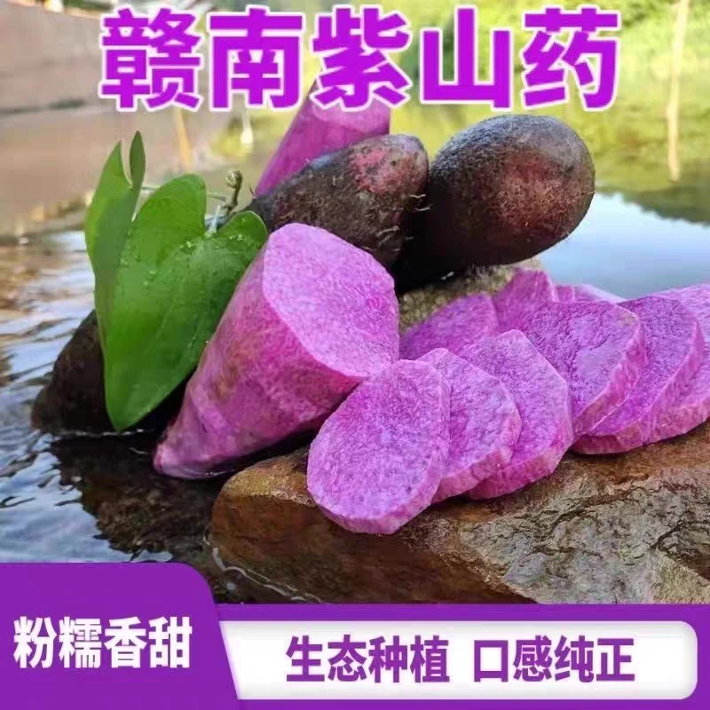 赣南紫山药现挖正宗铁棍山药紫脚板薯毛大薯紫玉淮山新鲜农家蔬菜
