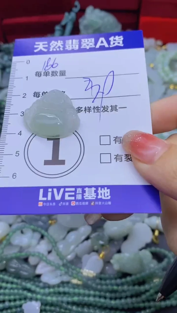 颈饰未镶嵌翡翠天然翡翠A货批量多样性发一件