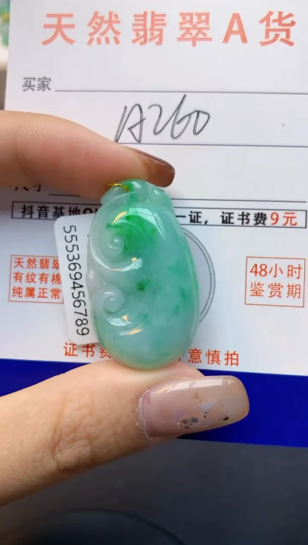 颈饰未镶嵌翡翠天然缅甸A货翡翠百元以上9元证书费自理