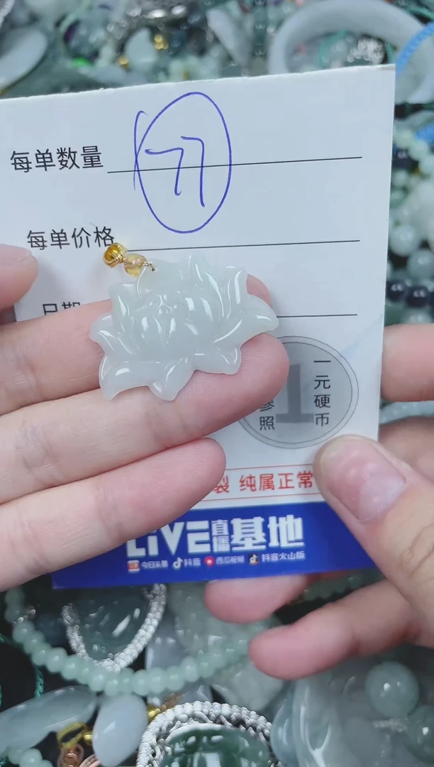 翡翠未镶嵌颈饰018