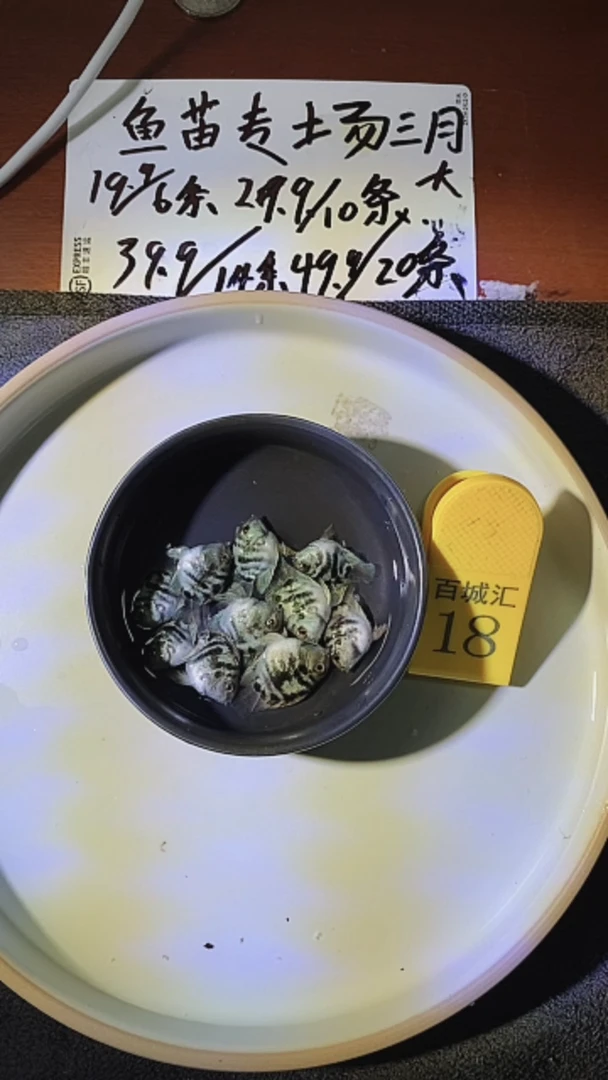 中国大陆2125455555255