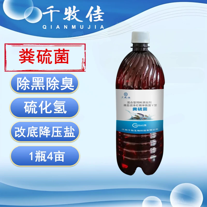千牧佳粪硫菌水产养殖专用去硫化氢改底除黑臭净水饲料添加剂