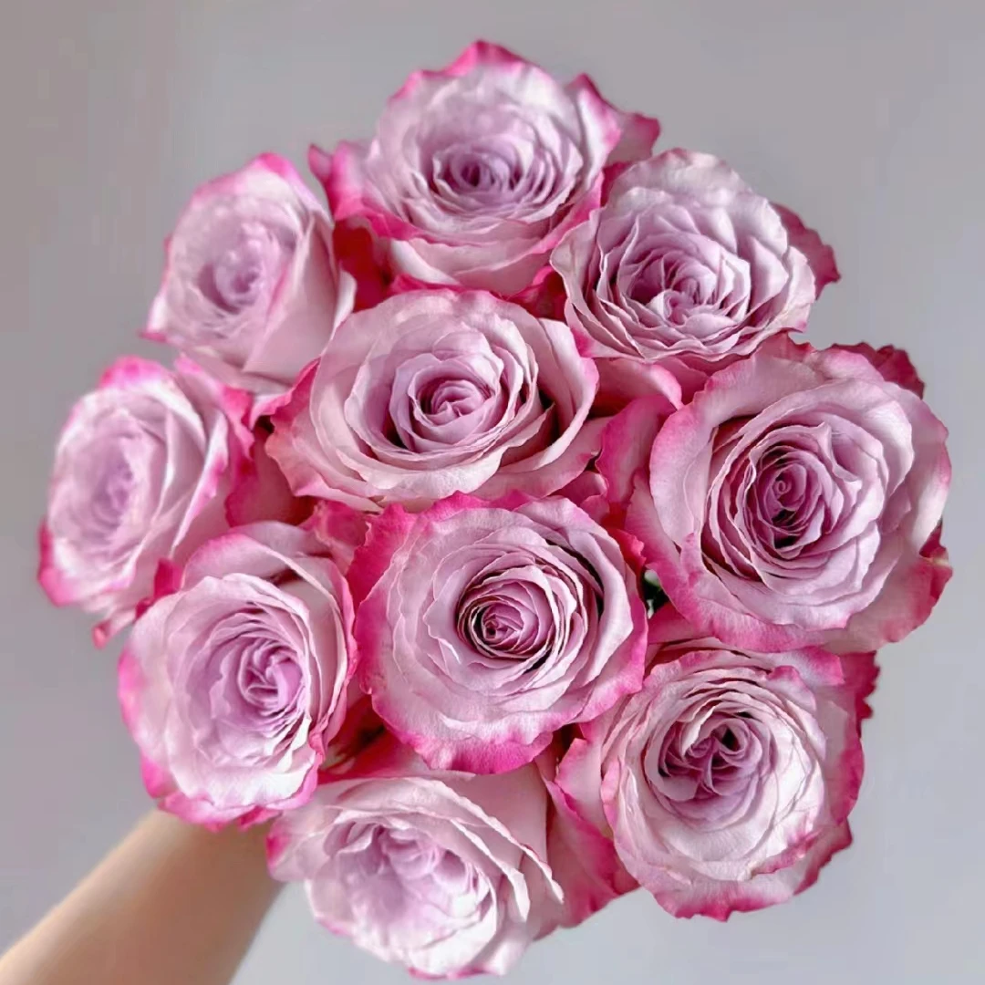 气场紫玫瑰10支+深紫桔梗一大把+吸色蓝色多头康乃馨20支