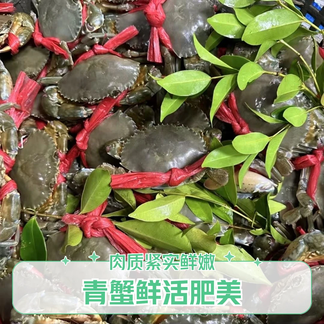 东山红膏蟹红鲟蟹有膏有黄鲜活到家顺丰包邮青蟹海鲜