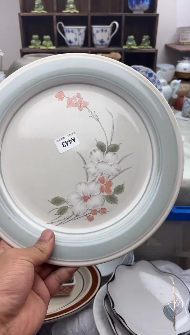 【闪购商品】碟A443...........