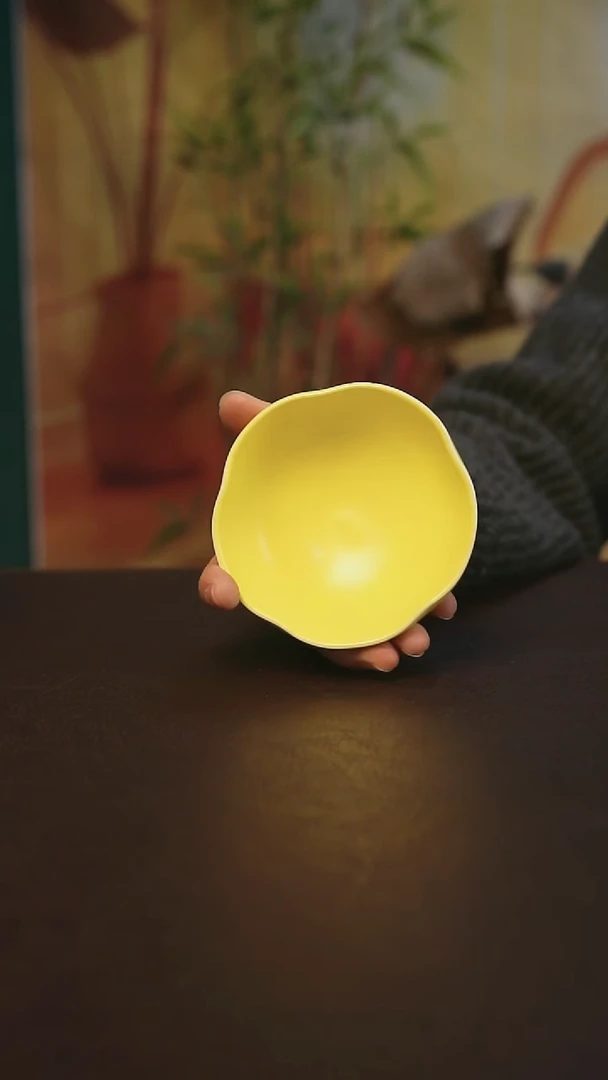 【闪购商品】景德镇陶瓷杯碗柴烧多人