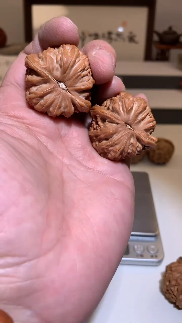 【闪购商品】桃核把件白狮子39左右