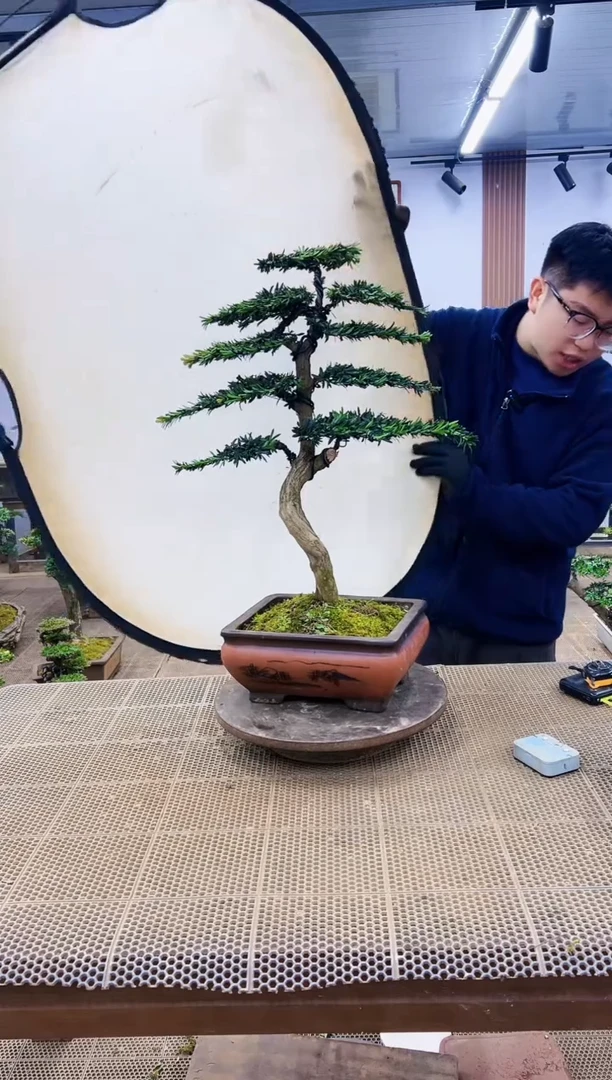 【闪购商品】一物一拍，所见即所得