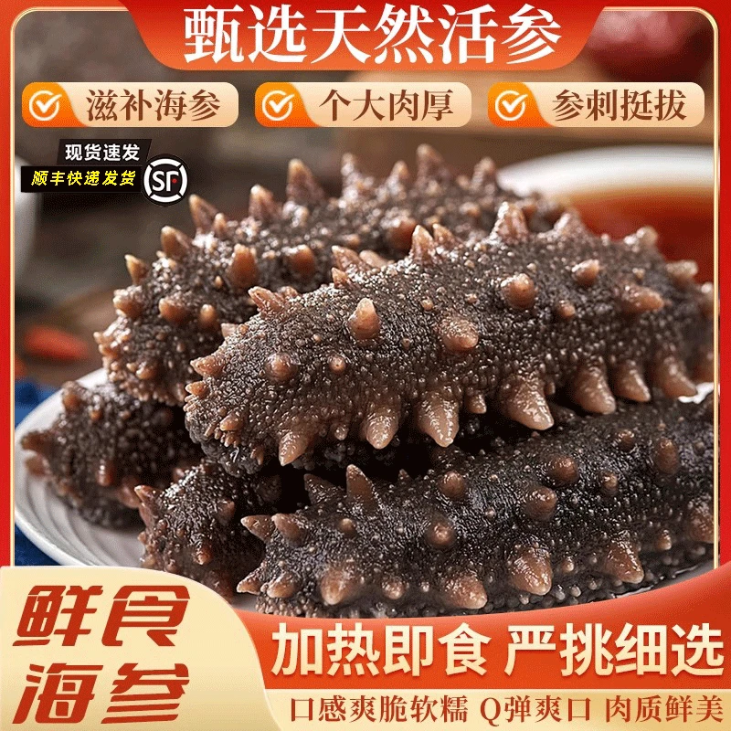 【拍20头送10头】正宗大连辽刺参10头/斤 鲜食海参 独立包装即食