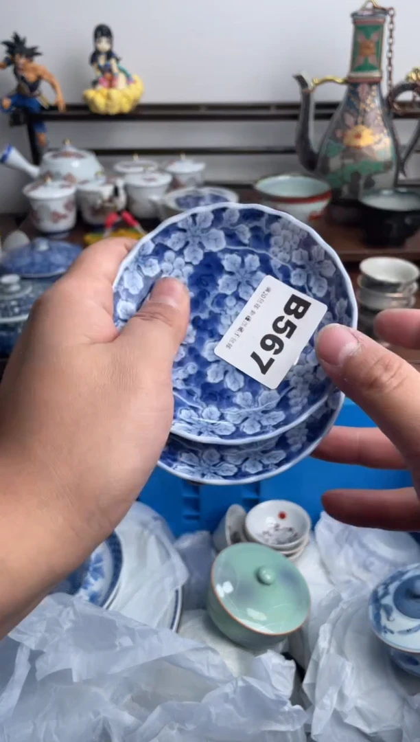 【闪购商品】瓷片567-B-满20包邮48h凑单