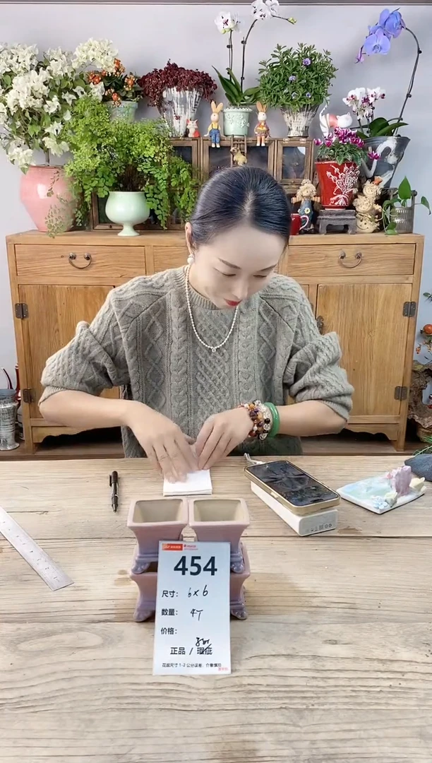 小玩子花盆直播编号454