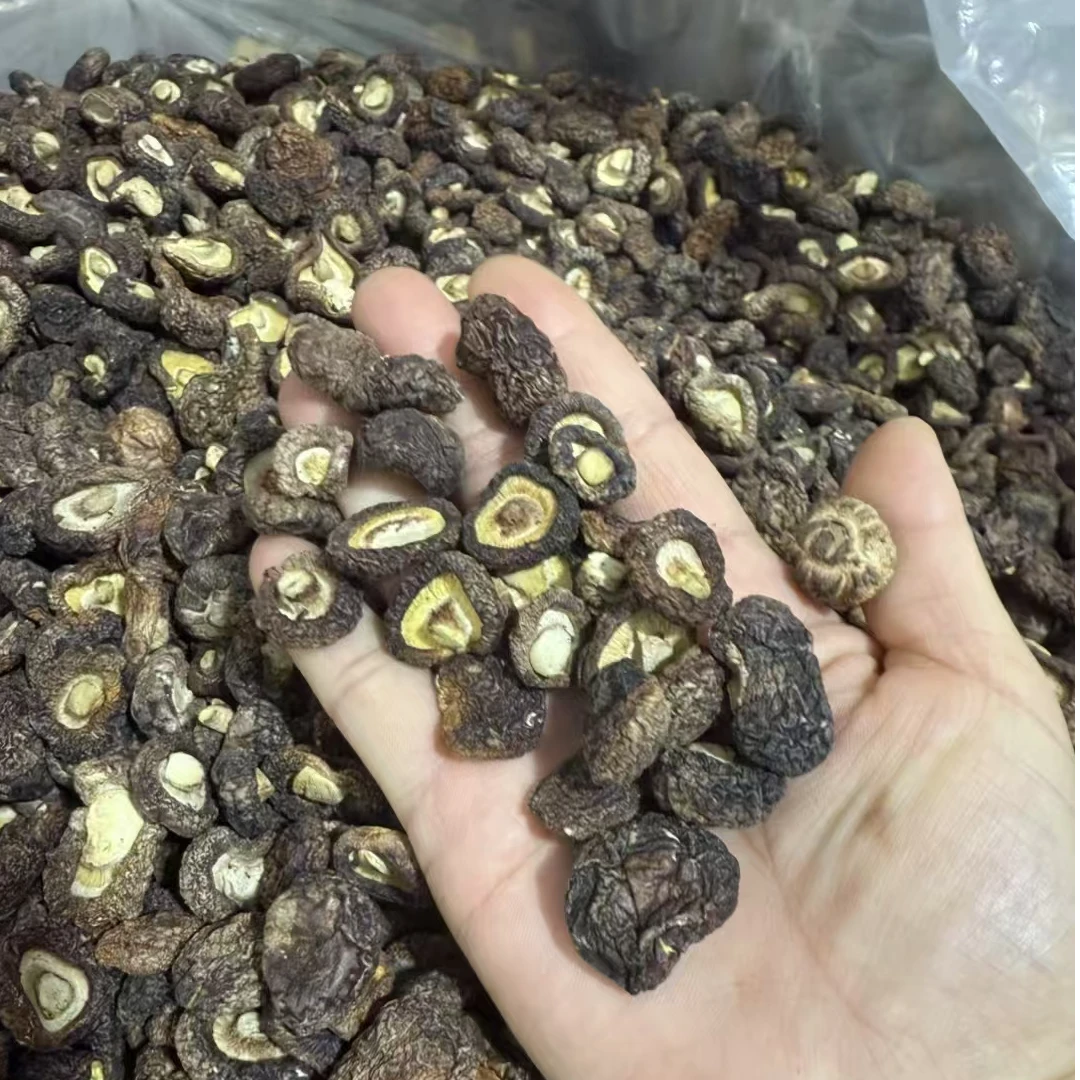 古田肉厚香浓金钱菇剪根小香菇干货特产适合煲汤炒菜