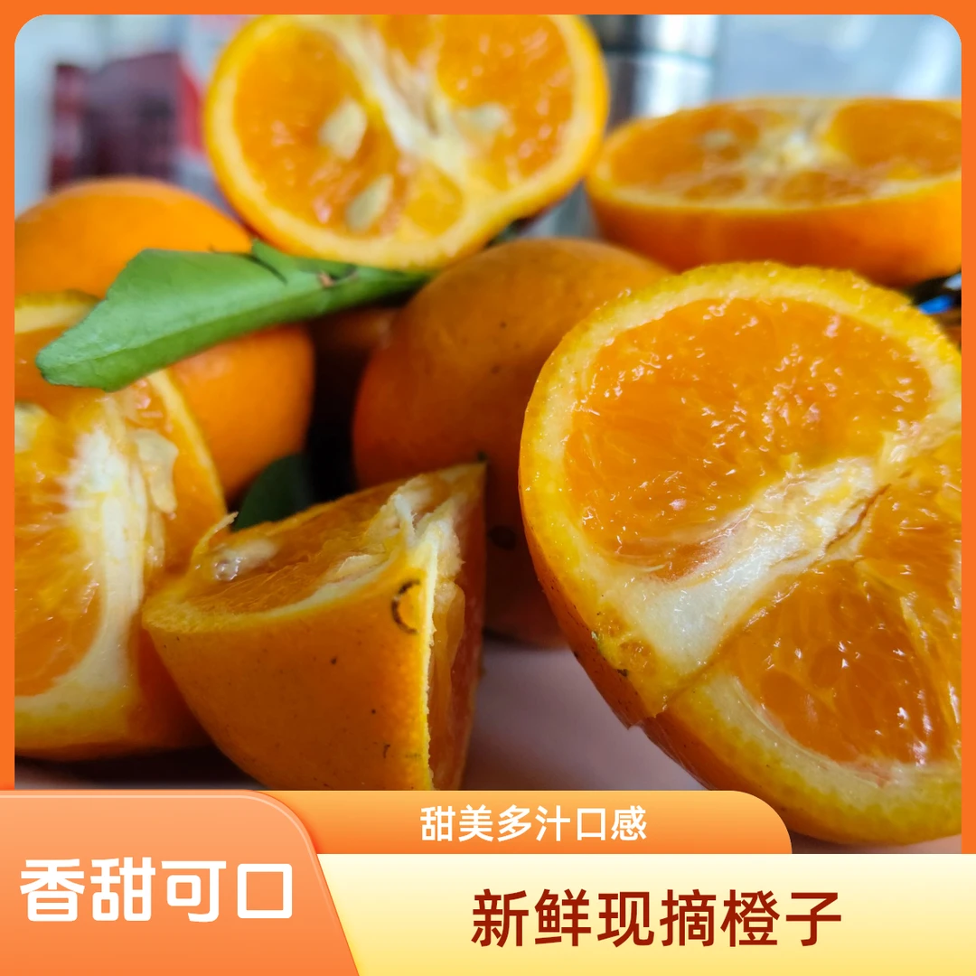 贵州铜仁思南塘头本地沃干柑自然生长香甜可口（皮略后介意慎拍）