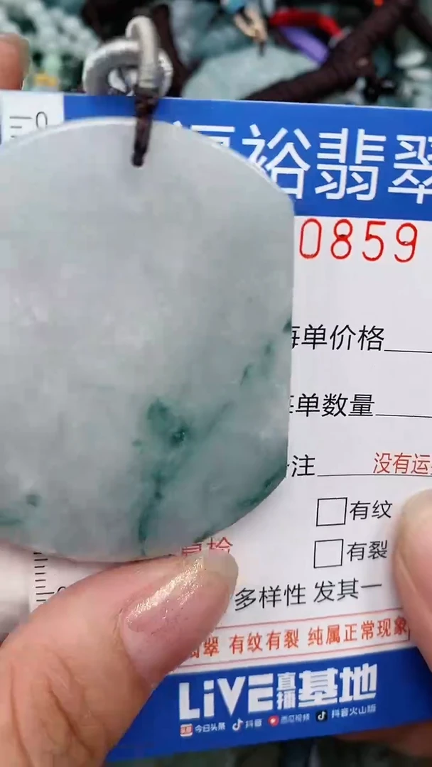 翡翠未镶嵌颈饰...0000859