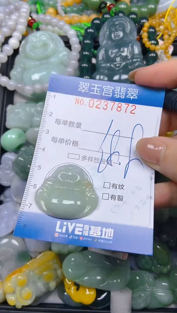 颈饰未镶嵌翡翠闪购C0237872