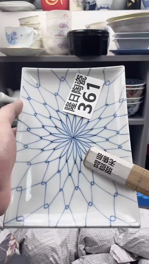 【闪购商品】瓷片longritaoci361