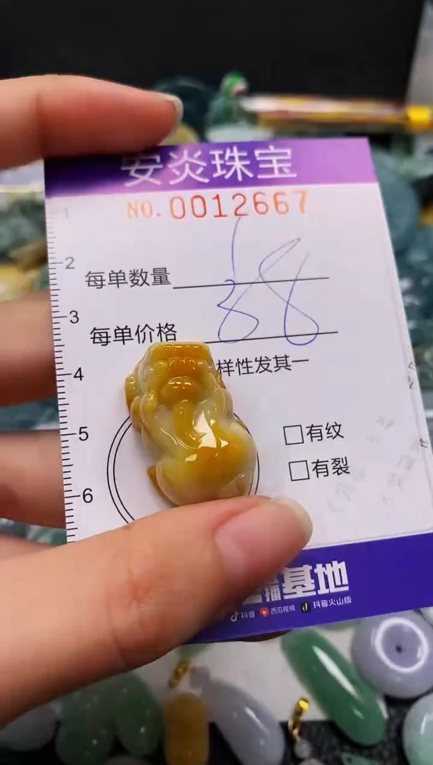 颈饰未镶嵌翡翠闪购0012667