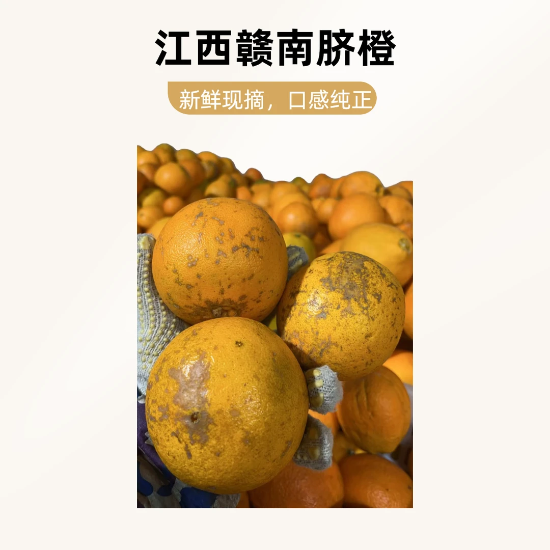 江西赣南脐橙20斤10斤5斤原生态果 快递发货 产地直发 果肉细润