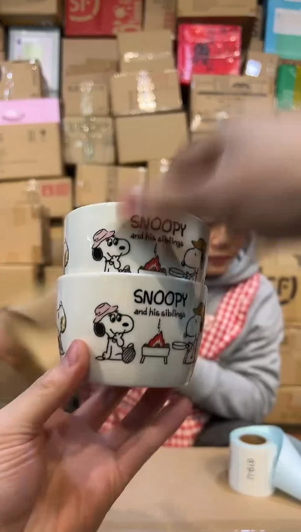 【闪购商品】杯史努比小碗2件套