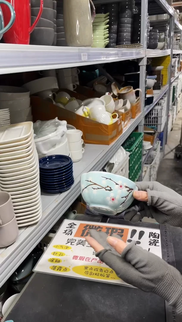 【闪购商品】碗169          六个