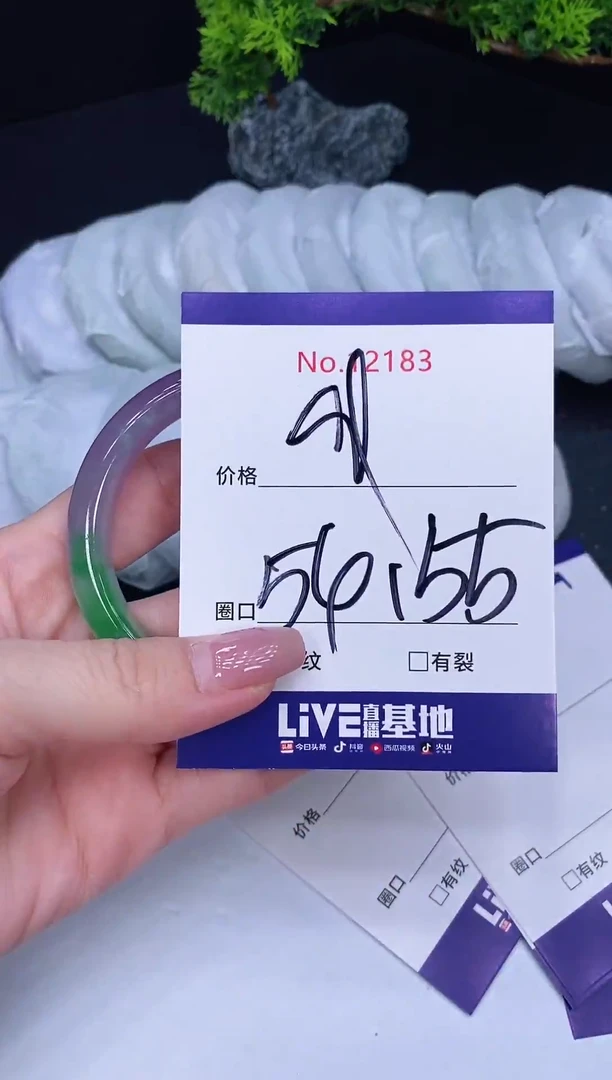 未镶嵌手镯翡翠12183