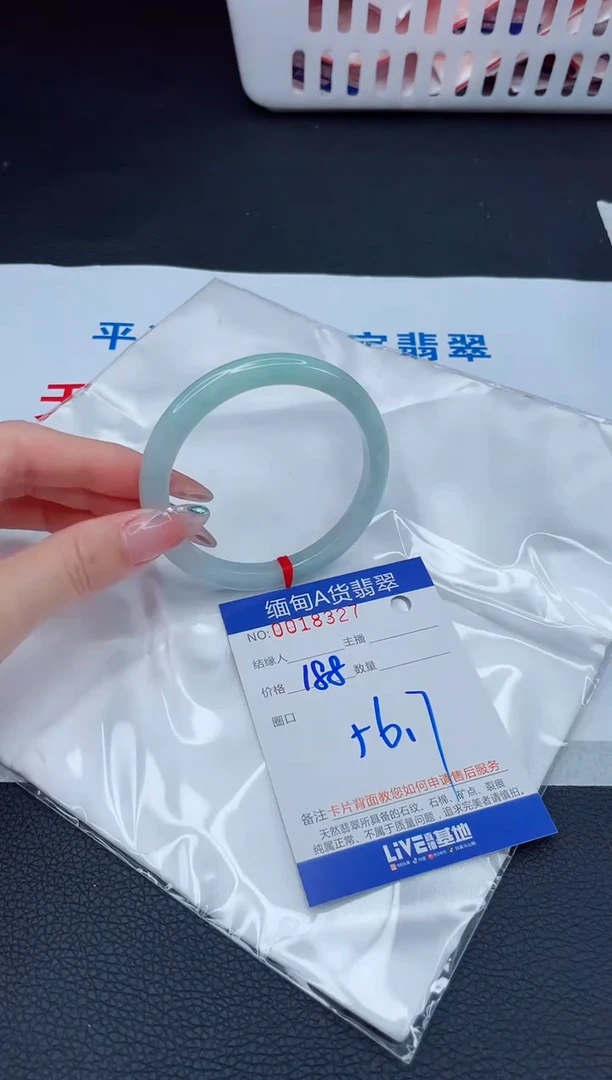 未镶嵌手镯翡翠1 T