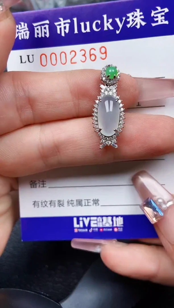 翡翠银S925镶嵌颈饰2369