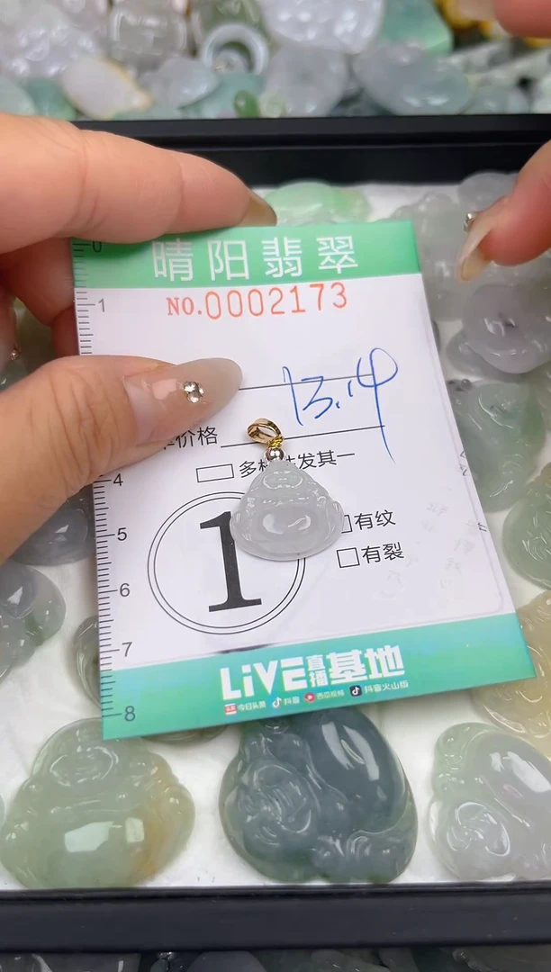 翡翠未镶嵌颈饰闪购0002173
