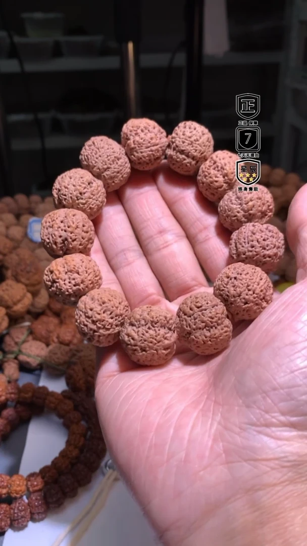 金刚菩提手串099