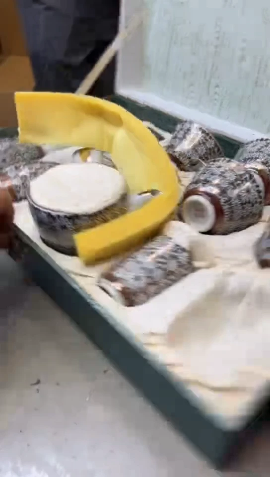 瓷片290聚宝缘海淘精选