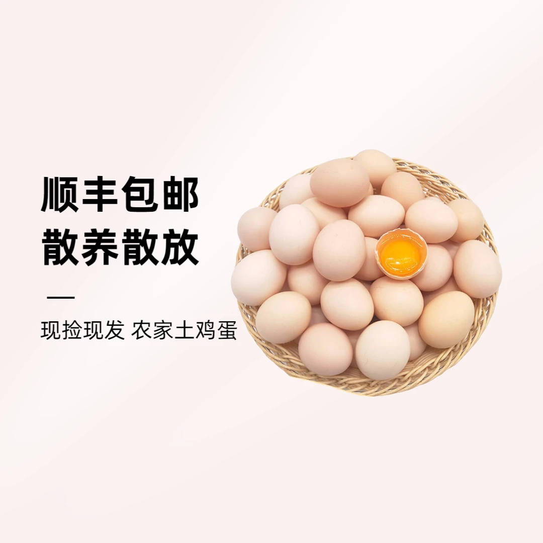 [顺丰包邮]农家散养散放精品土鸡蛋单枚50克以上现捡现发破损包赔