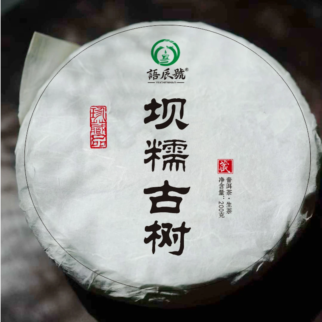 2025年坝糯藤条古树生茶200克/饼