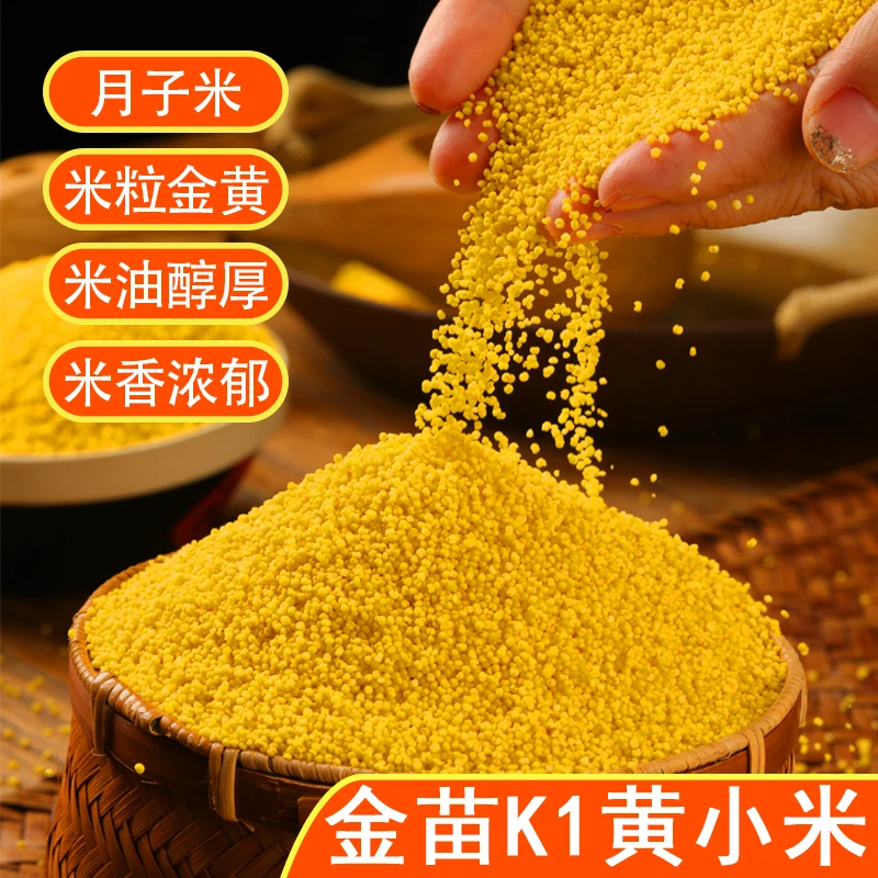 【5斤包邮】内蒙赤峰黄小米月子米农家优质五谷杂粮金苗K1小米