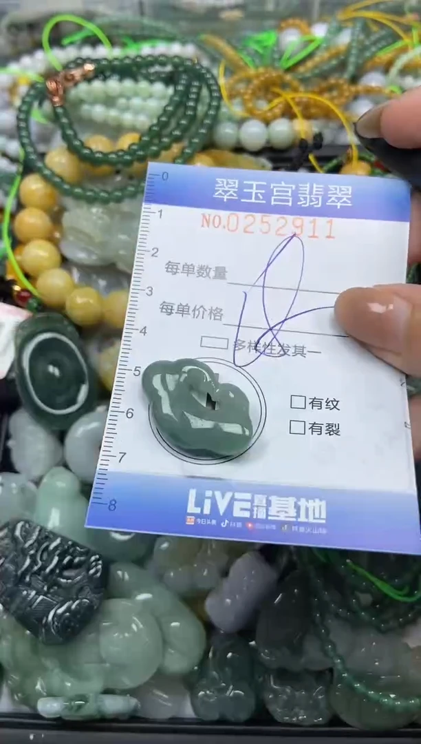 颈饰未镶嵌翡翠闪购C0252911