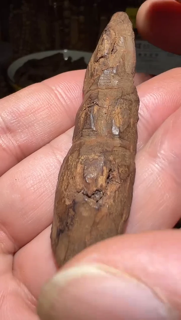 沉香沉香碎屑加里曼丹3.2克