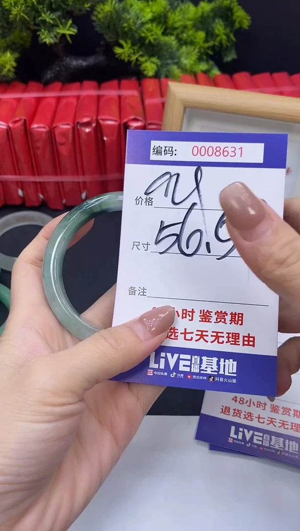 未镶嵌手镯翡翠0008631