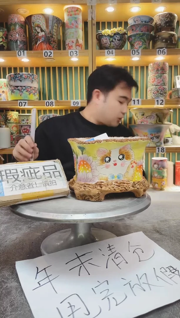 【闪购商品】默认微瑕一物一拍0113-234