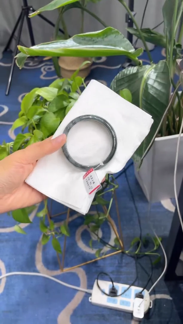 未镶嵌手镯翡翠4844
