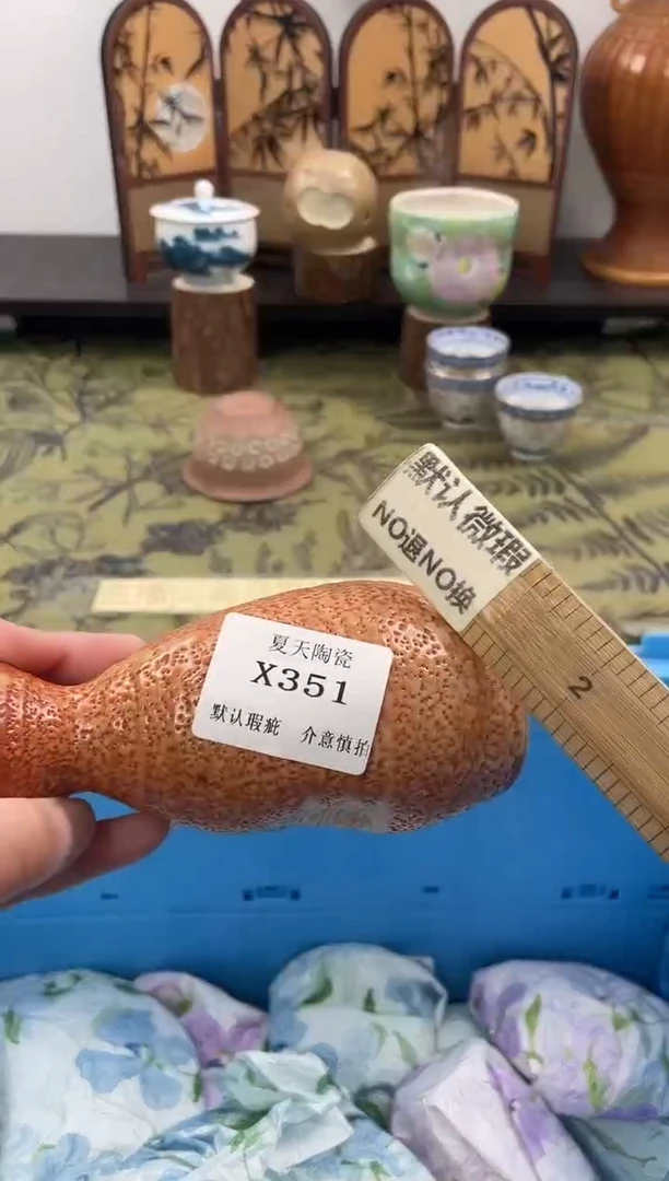 瓷片玩**享X351默认微瑕闪购默认库存一件
