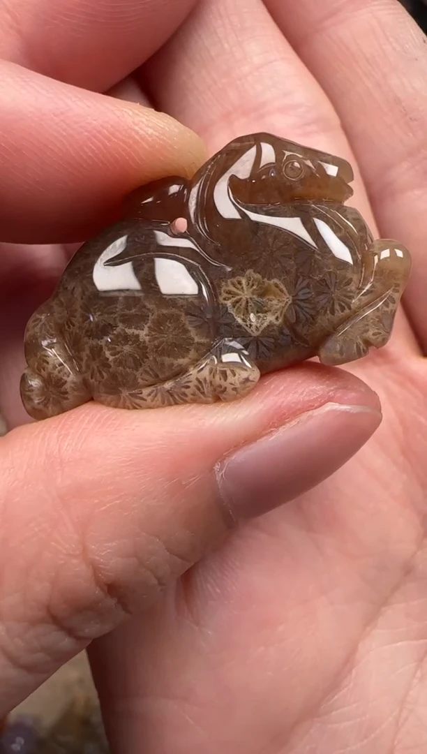 硅化珊瑚（珊瑚玉）未镶嵌颈饰150