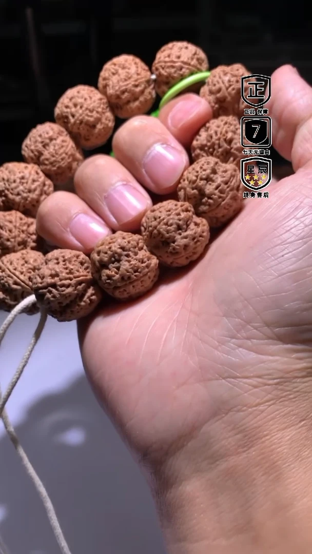 金刚菩提手串066