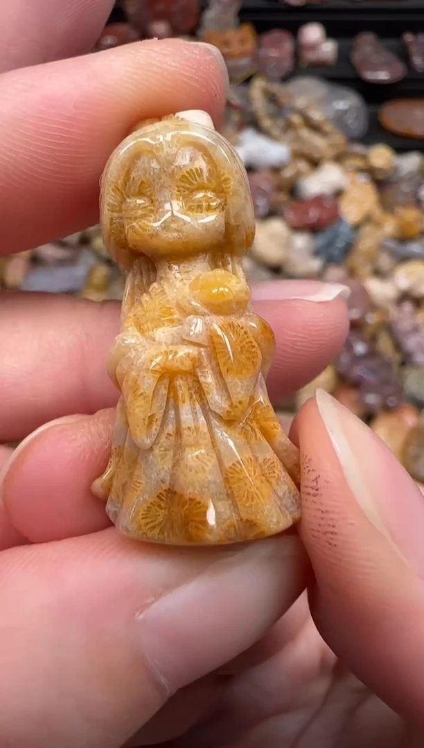 硅化珊瑚（珊瑚玉）未镶嵌颈饰491