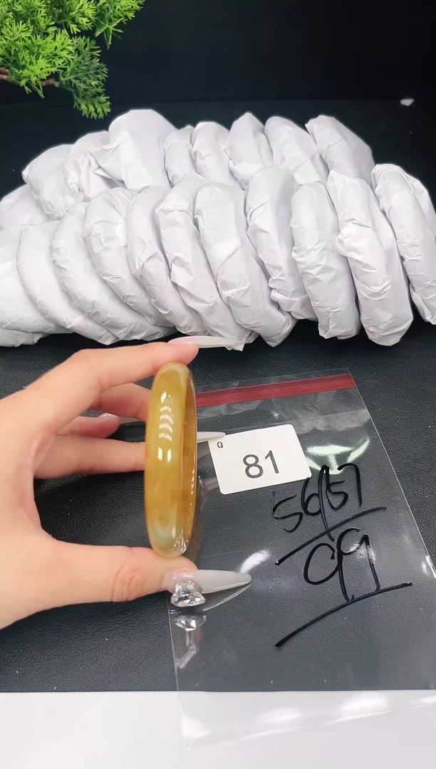 未镶嵌手镯翡翠81