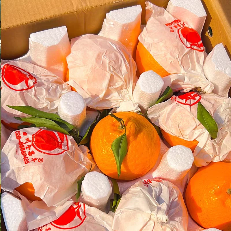 pp春见耙耙柑正宗四川春见粑粑柑新整箱9斤