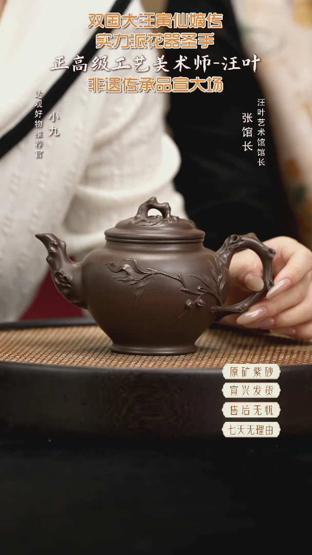 九ZJX15汪叶桃报春紫泥400